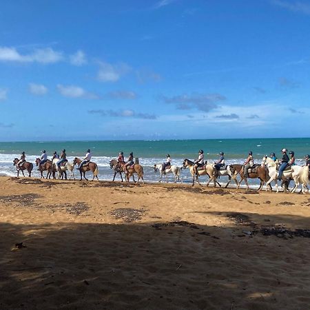 Oceanfront Condo In Luquillo Kültér fotó